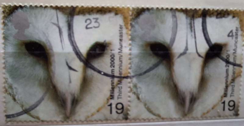 GB 2000 Millennium Above and Beyond: Barn Owl Horizontal Pair used stamps