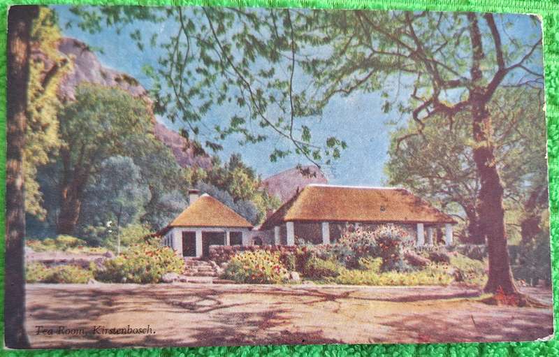 Vintage Hortors Post Card of Tea Room, Kirstenbosch