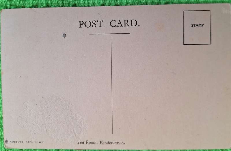Vintage Hortors Post Card of Tea Room, Kirstenbosch