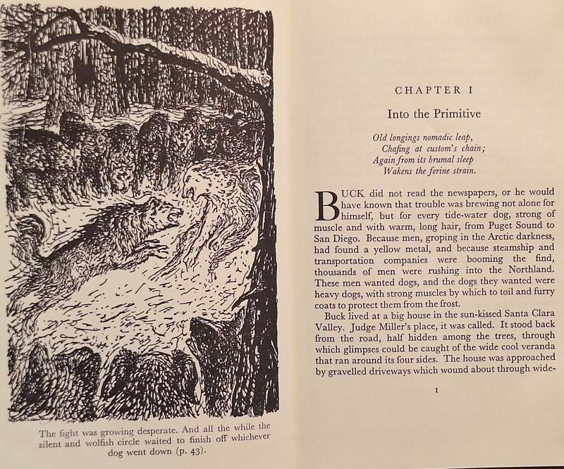 The Call of the Wild by Jack London Hardcover 1968 Reprint