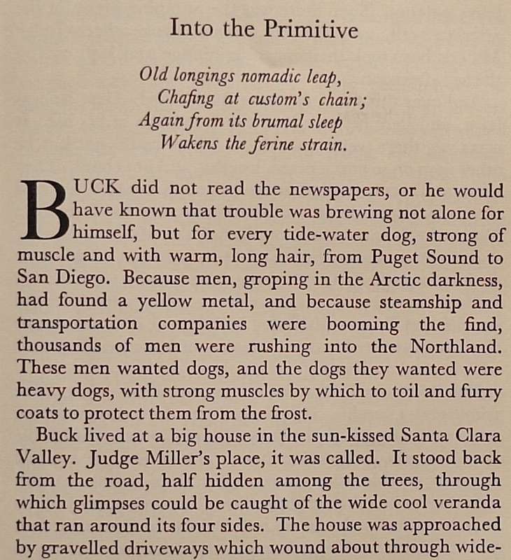 The Call of the Wild by Jack London Hardcover 1968 Reprint
