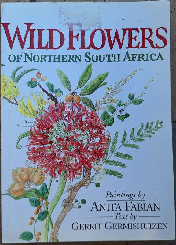 Wild Flowers of Northern South Africa Paintings by Anita Fabian Text by Gerrit Germishuizen P/back