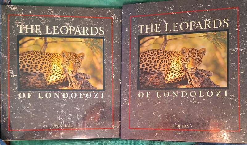 The Leopards of Londolozi by Lex Hes Boxed Hardcover 1991