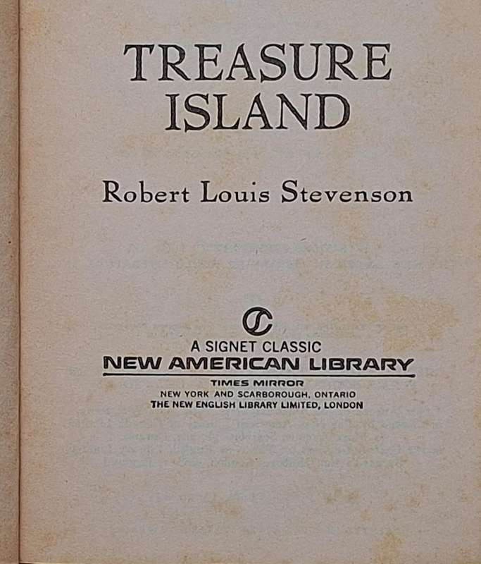 Treasure Island by Robert Louis Stevenson Paperback