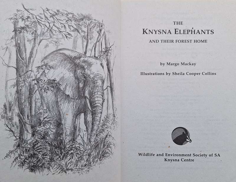 The Knysna Elephants and their Forest Home by Margo Mackay Paperback