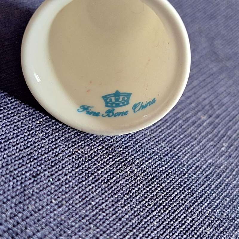 Thimble Fine Bone China Dolfinarium Harderwijk (De Wereld van de Zee)