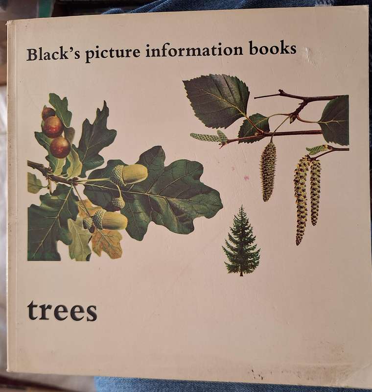 Black's Picture information Books: Trees Paperback