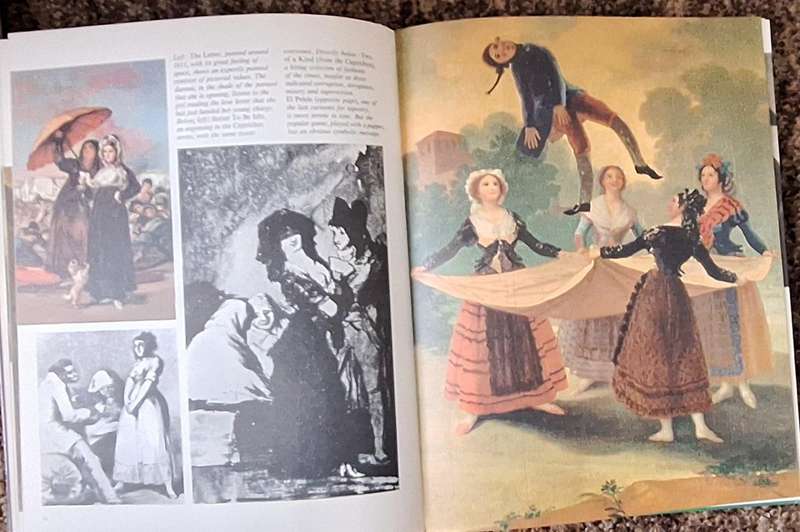 Portraits of Greatness: Goya Ed: Enzo Orlandi Hardcover