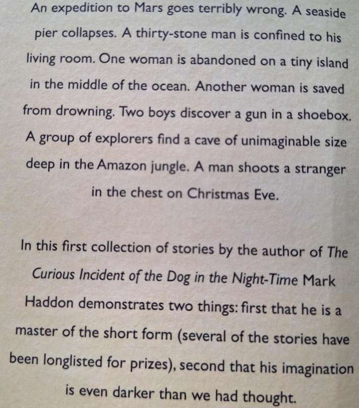 The Pier Falls by Mark Haddon Paperback