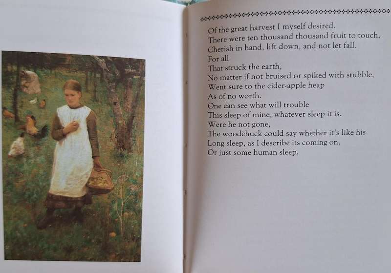 The Illustrated Poets: Robert Frost Selected by Geoffrey Moore Small Hardcover