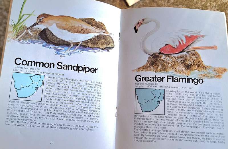 Caltex Know your Water Birds: River & Estuary Birds - Coastal Birds