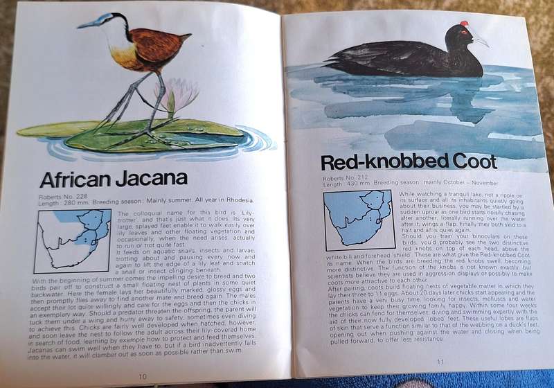 Caltex Know your Water Birds: Lake and vlei birds