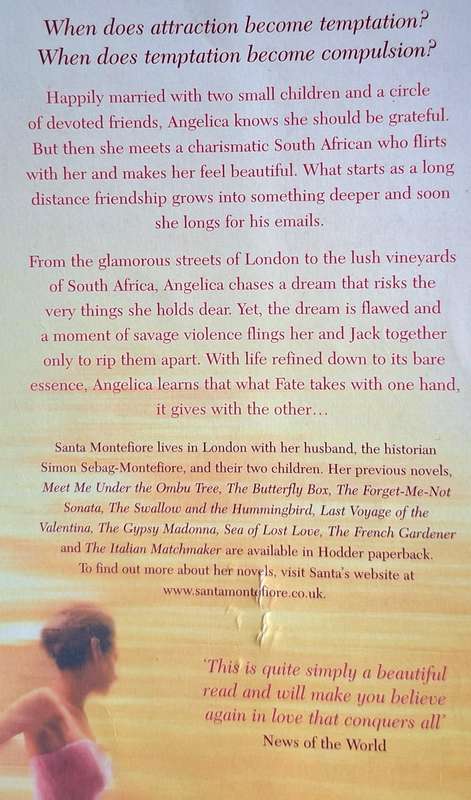 The Affair by Santa Montefiore Paperback