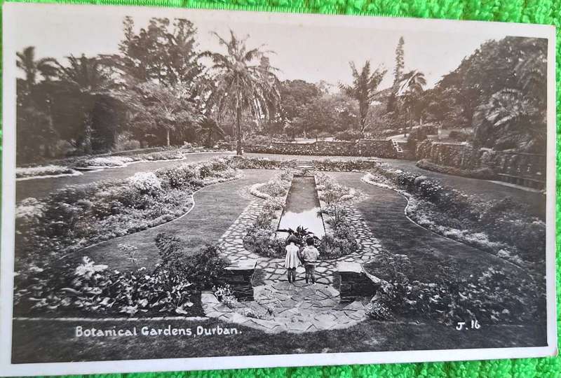Vintage Lynn Acutt Post Card Botanical Gardens, Durban