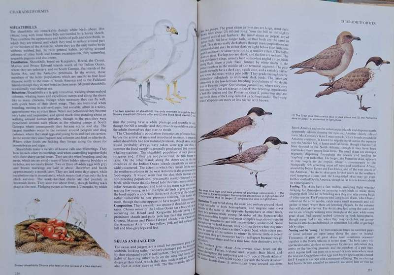 Reader's Digest Birds: Their Life, Their Ways, Their World Hardcover 1982 Fourth Printing