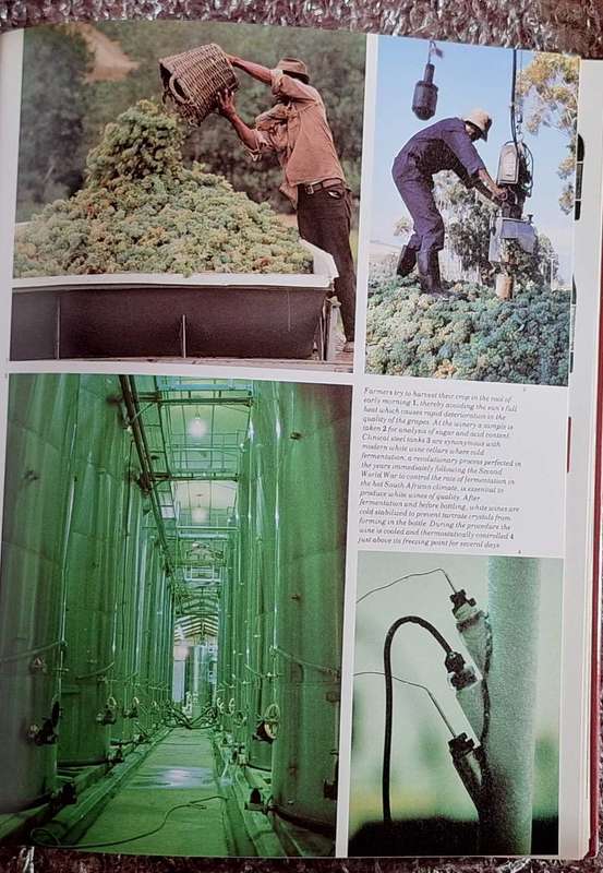 The Complete Book of South African Wine by David Hughes, Phyllis Hands, John Kench H/cover 1988 2nd