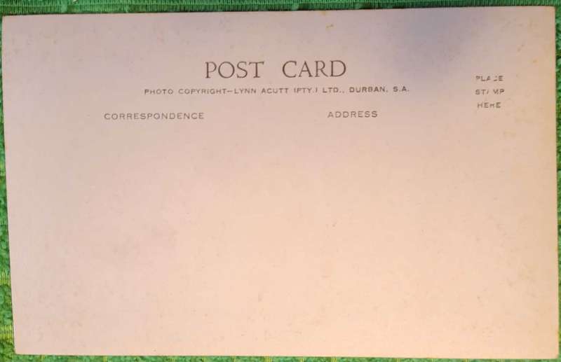 Vintage Lynn Acutt Post Card Town Hall and Cenotaph, Durban