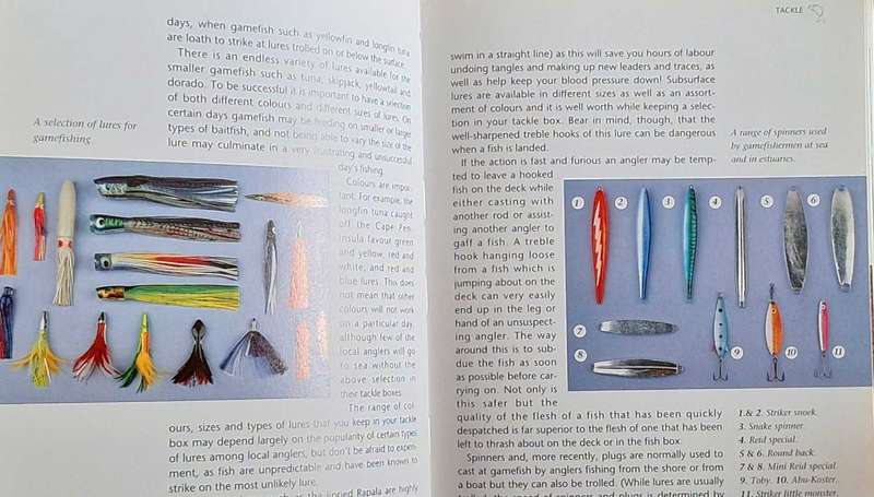 Saltwater Fishing in Southern Africa by Hennie Crous Paperback