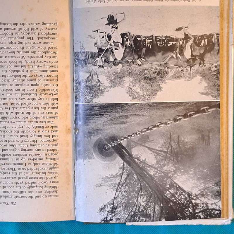Elephant Valley by Elizabeth Balneaves  Hardcover 1962