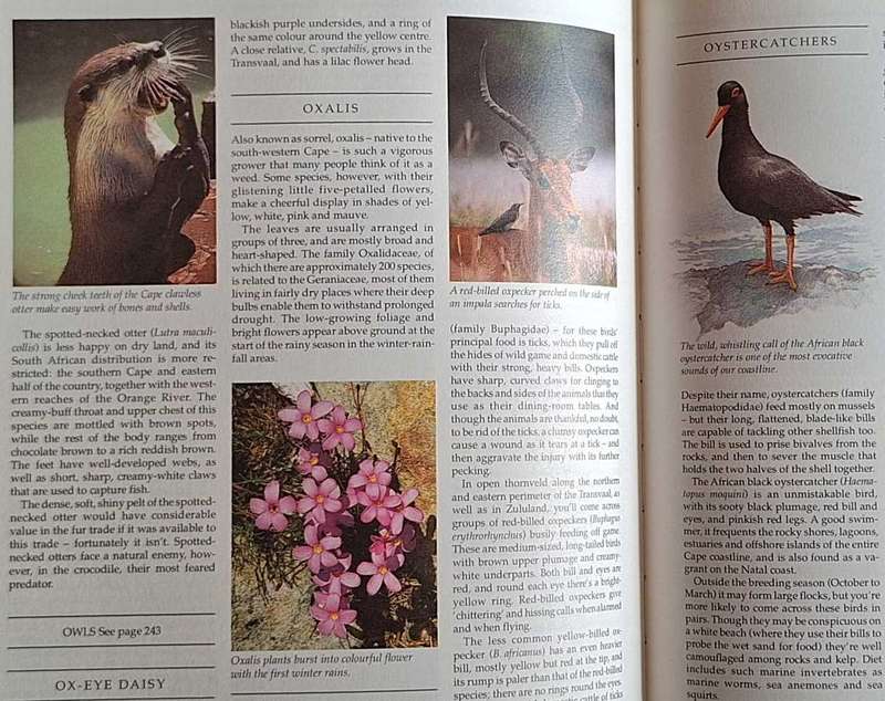 Reader's Digest Book of The Great South African Outdoors Hardcover