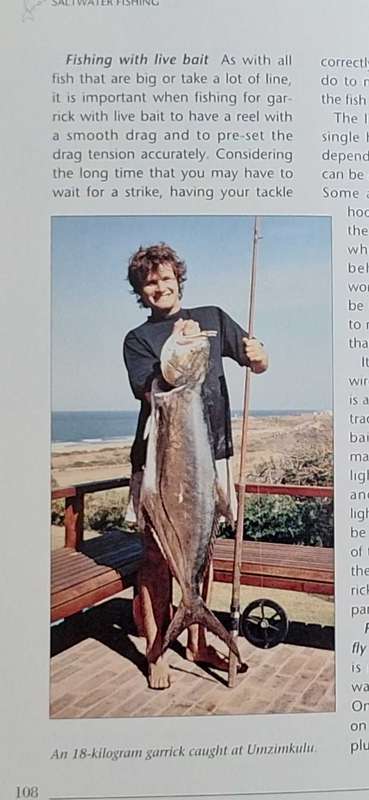 Saltwater Fishing in Southern Africa by Hennie Crous Paperback