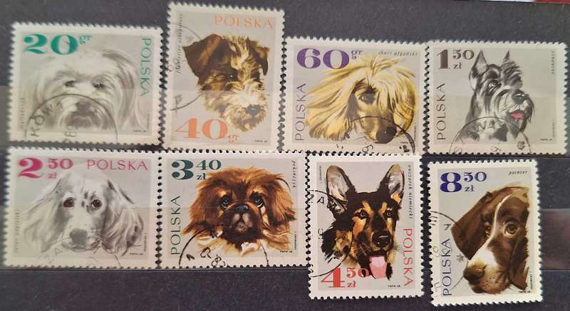 Poland 1969 Dogs Set of 8 Cancelled stamps