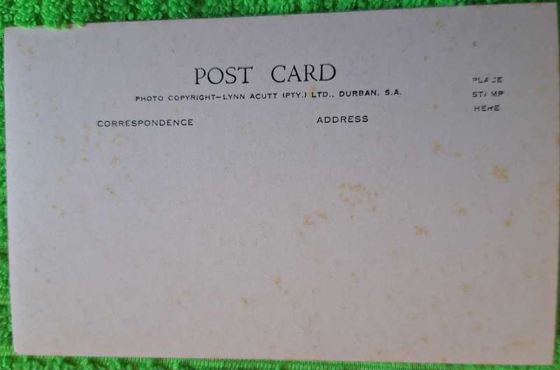 Vintage Lynn Acutt Post Card Botanical Gardens, Durban