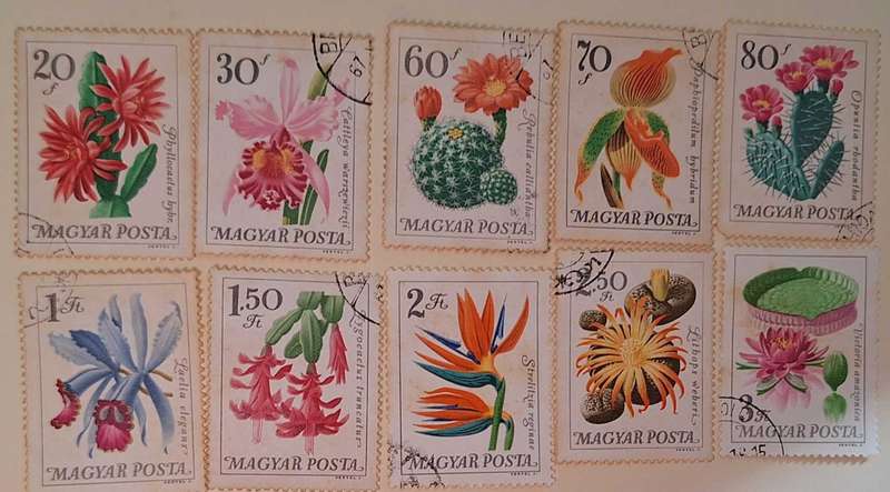 Hungary 1965 Cacti Succulents and Orchids Set of 10 Used Hinged stamps