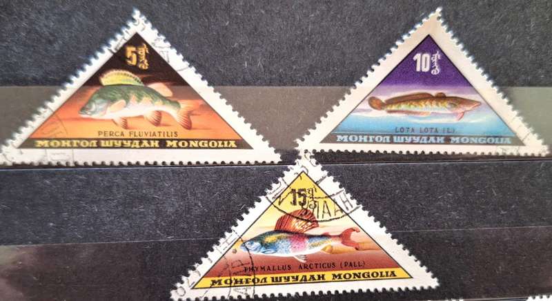 Mongolia 1962 Fish 3 Used triangle stamps