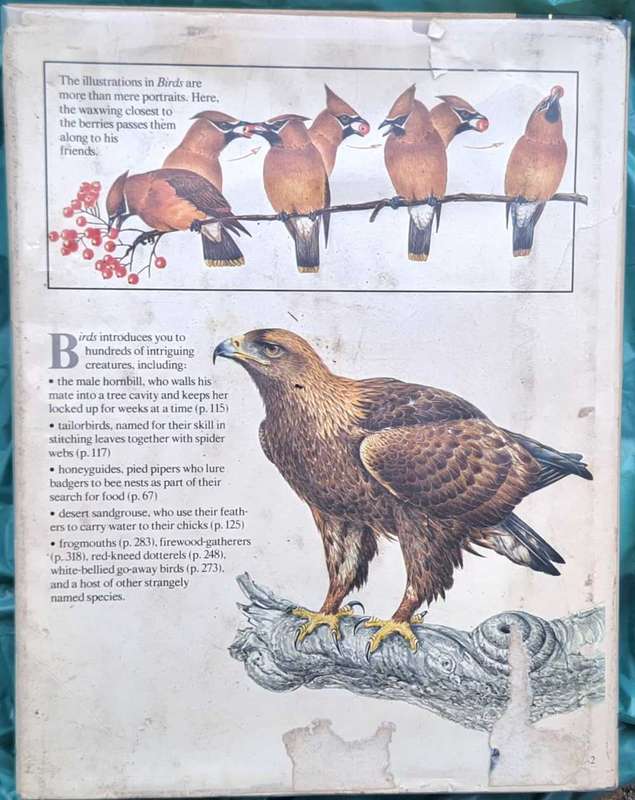 Reader's Digest Birds: Their Life, Their Ways, Their World Hardcover 1982 Fourth Printing
