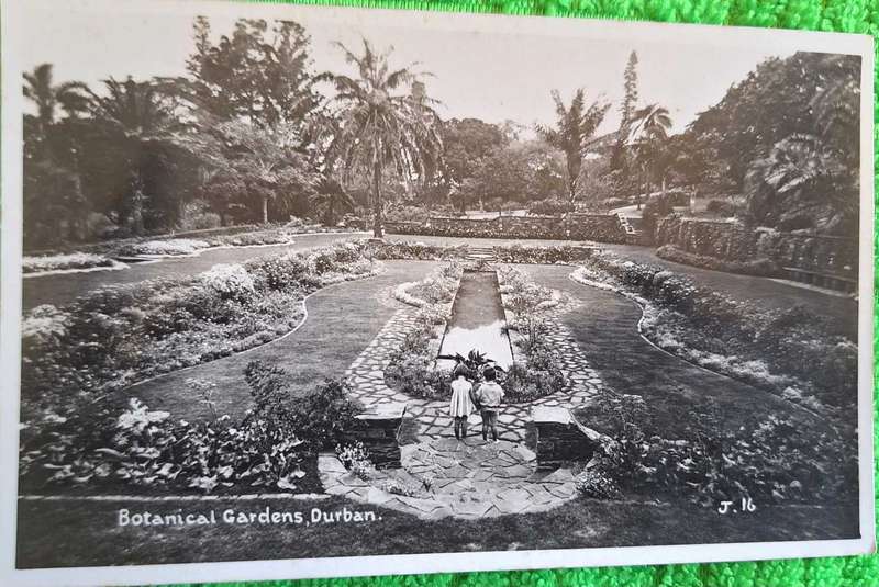 Vintage Lynn Acutt Post Card Botanical Gardens, Durban