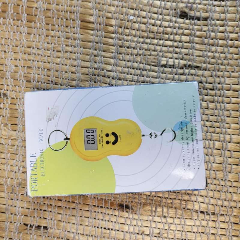 Luggage scale