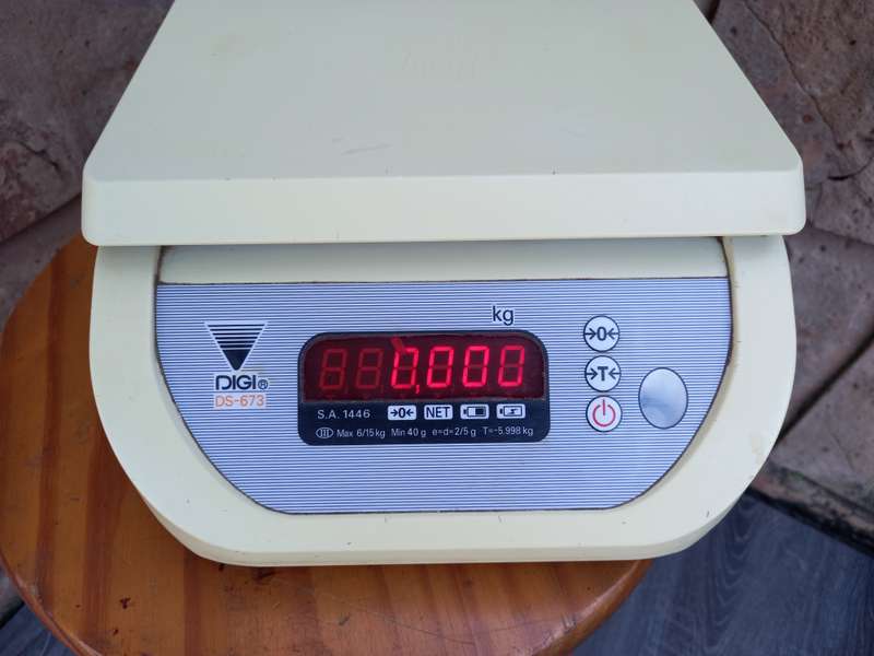 Digi DS-673 Precision Scale - 40g to 15kg - For Retail, Coins & Logistics - High Accuracy & Verified