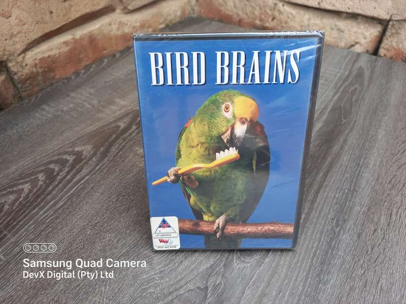 Bird Brains DVD (Brand New Sealed) - Perfect For Family Movie Night!