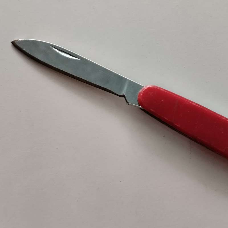 Single Blade folding pocket knife  #O0115