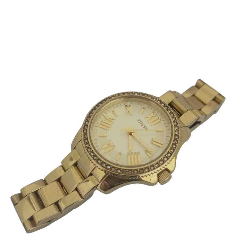 Fossil AM4577 Cecile - Working