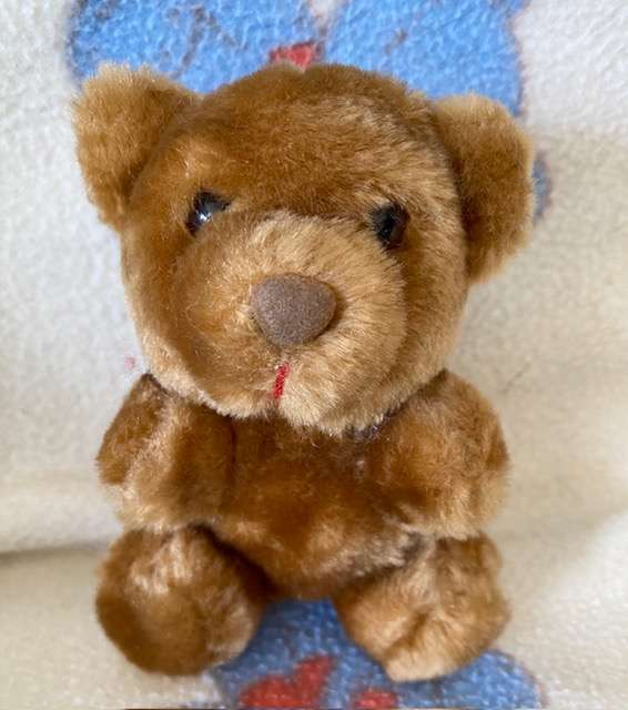 SOFT LITTLE BEAR