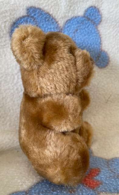 SOFT LITTLE BEAR