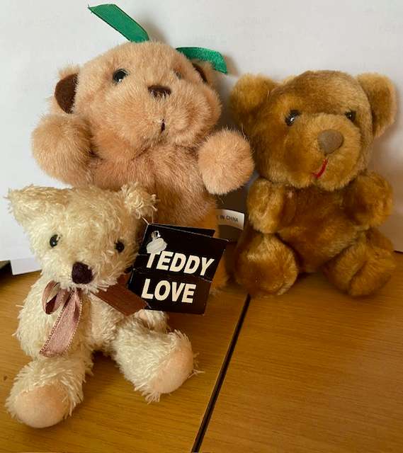 THREE LITTLE BEARS