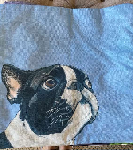 BOSTON TERRIER CUSHION COVER