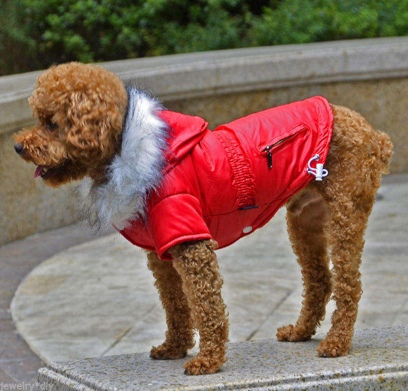 SMALL DIVE DOGGY JACKET