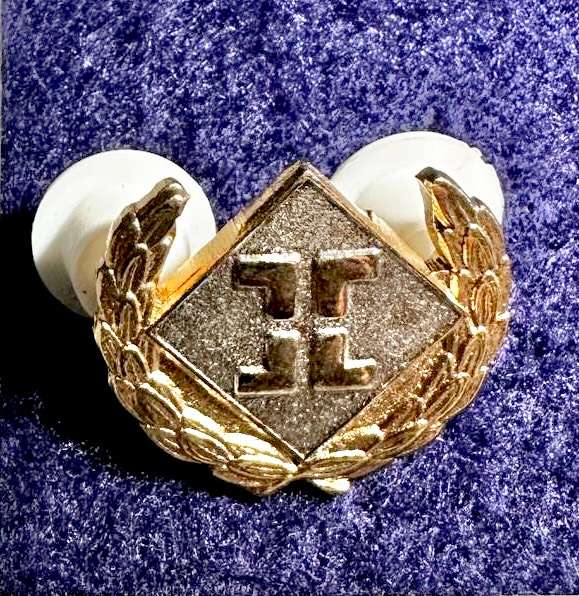 SA ARMY Airforce Intelligence Breast Badge - Mess Dress (RARE)