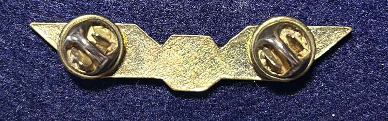 South African Civil Aviation - 43 WINGS