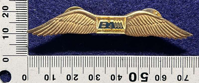 South African Civil Aviation - BAM WINGS