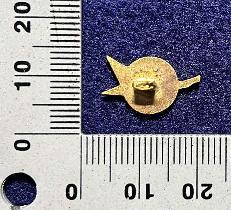 South African Civil Aviation - UNKNOWN PIN
