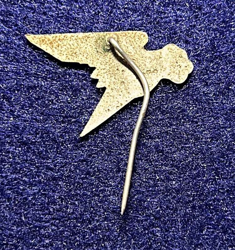 South African Civil Aviation - UNKNOWN PIN