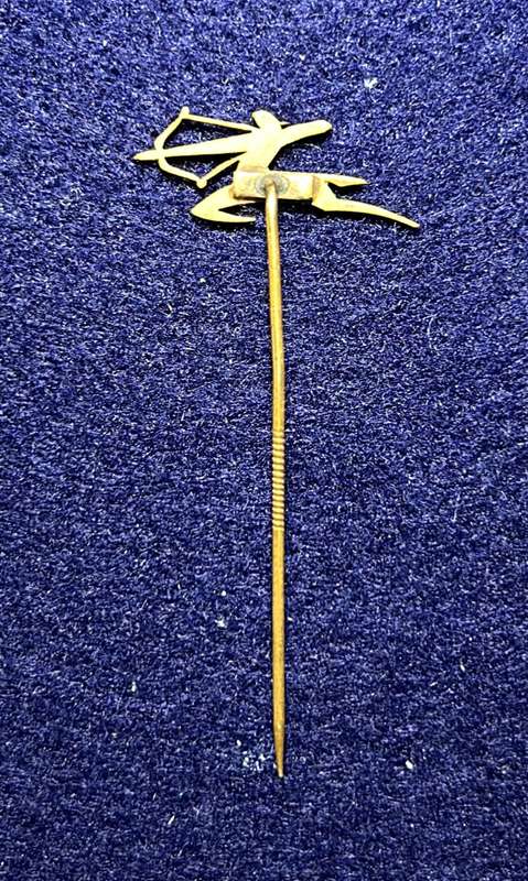 South African Civil Aviation - AIR INDIA PIN