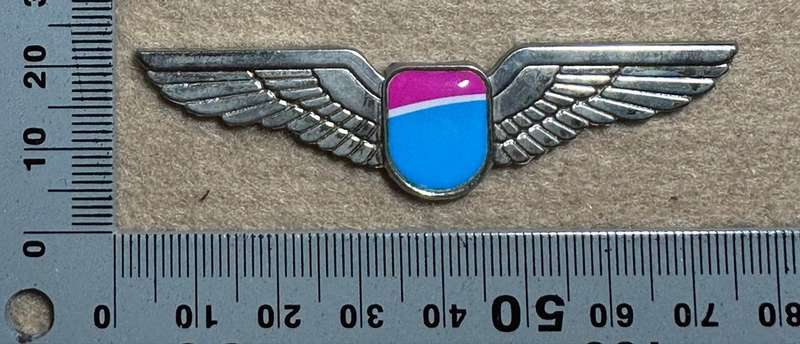 South African Civil Aviation - SAFAIR WINGS