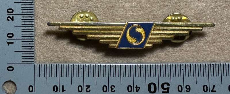 South African Civil Aviation - SELENTO AIR WINGS
