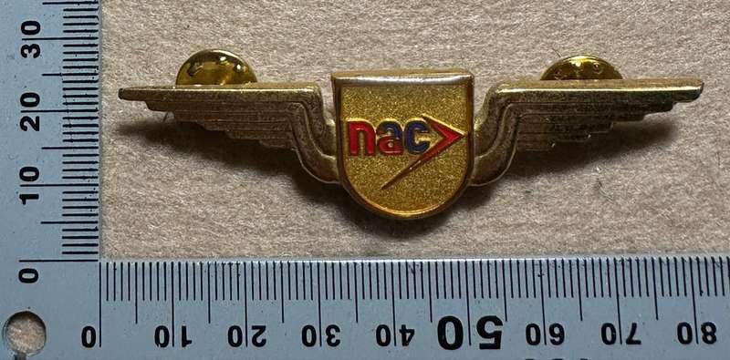 South African Civil Aviation - NAC WINGS